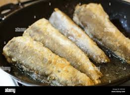 Hake fish